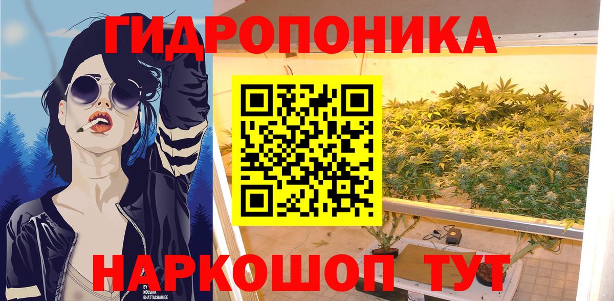Каннабис сатива  Вход с VPN  Нягань  Канабис OG Kush  Бошки Шишки конопля  Шишки марихуана THC 21% 